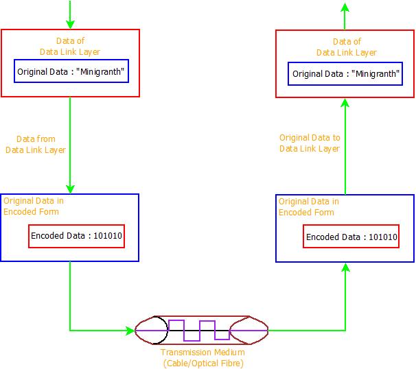 This image describes the architecture and working of physical layer in computer networks.